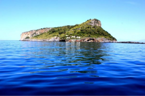 TEA Isola Dino - HOTEL & HOME - Praia a Mare Praia A Mare